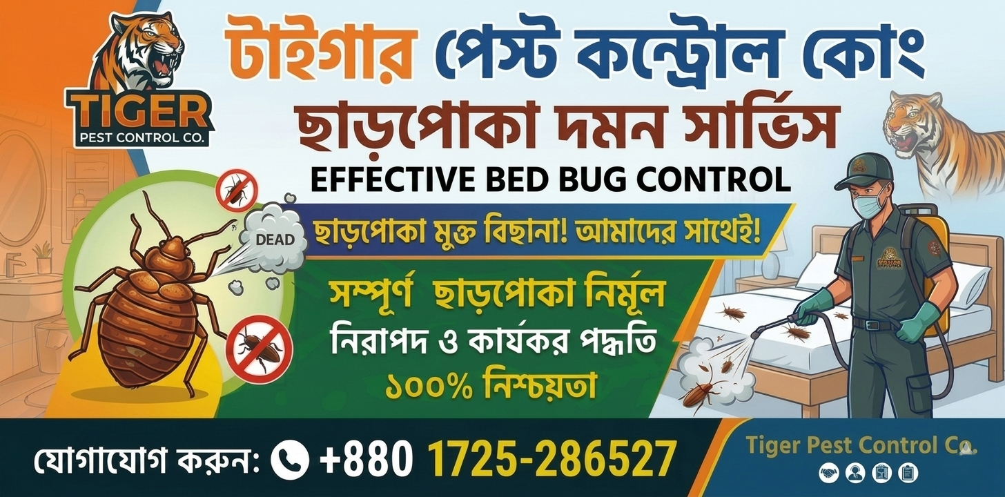 Bed Bug Treatment